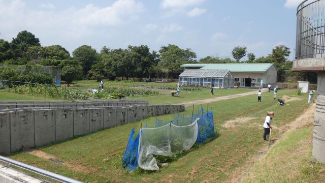 出水特別支援学校交流会10